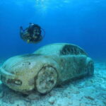Cancun: Scuba Diving for Beginners, 2 Dives - The Experience: What Makes It Special
