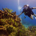 Cancun: Shipwreck and Reef Dives - Who Will Love This Tour?