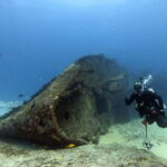 Cancun: Shipwreck & Reef for Certified Divers - Exploring the Wrecks: History Meets Underwater Art