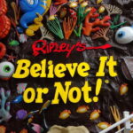 Cancún: Sky Wheel Pass GO - The Sum Up: Who Is This Tour Best For?