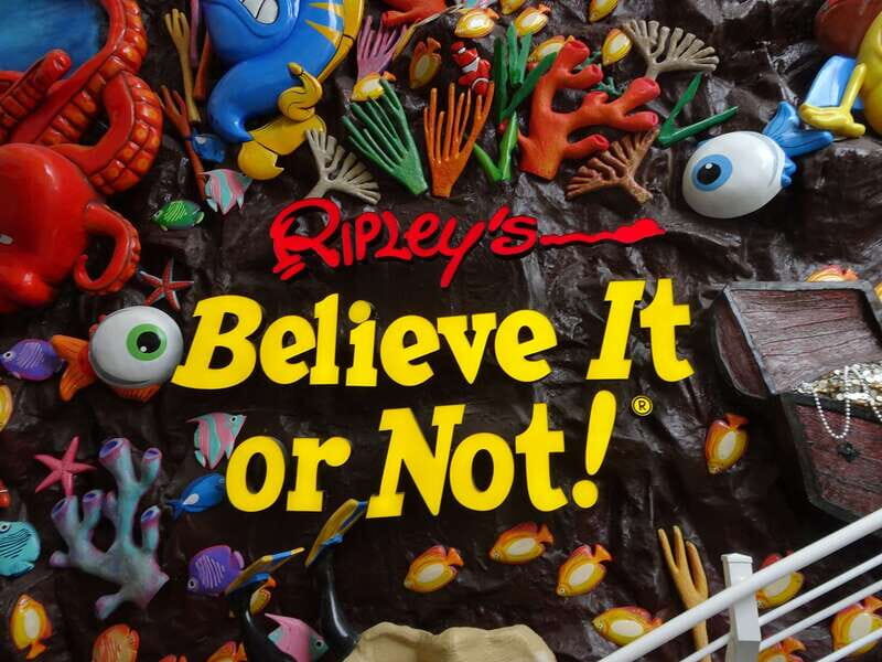 Cancún: Sky Wheel Pass GO - The Sum Up: Who Is This Tour Best For?