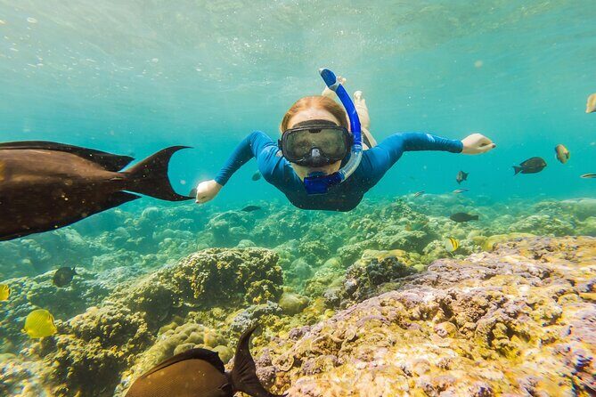 Cancun: Snorkeling Adventure at Puerto Morelos Reef - Tequila Tasting and Local Flavors