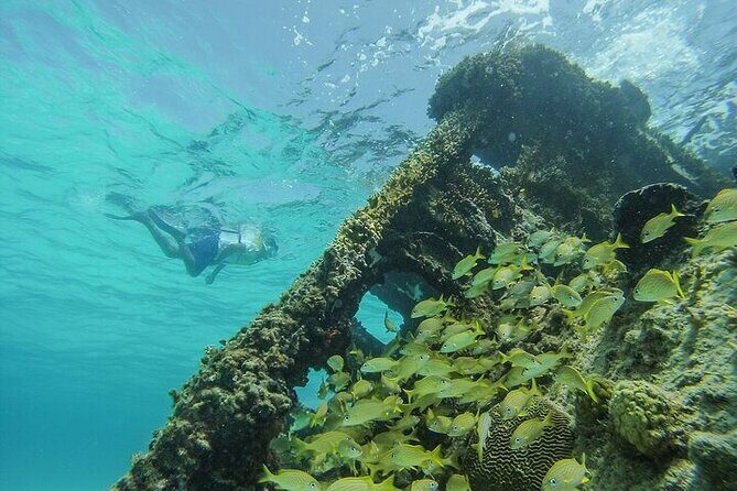 Cancun Snorkeling Adventure: Turtles, Reefs & Underwater Wonders - What’s Included, and What to Keep in Mind