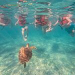 Cancun: Tulum Ruins, Akumal Turtles, Cenote & Caves Tour - An In-Depth Look at the Tour Experience