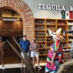 Cancun: Van Tour - City Adventure around the Best Stops - What To Expect: Practical Tips and Insights