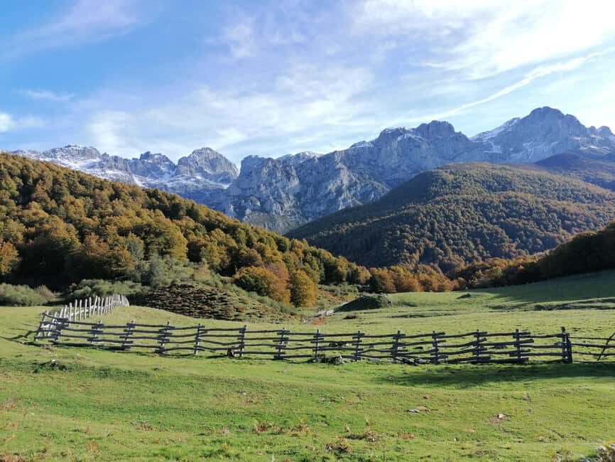 Cangas de Onís: Route in the Vegabaño Forest with lunch at a mountain refuge - Final Thoughts