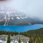 Canmore/Banff: Columbia Icefield, Skywalk, Peyto Day Tour - Who Will Love This Tour?