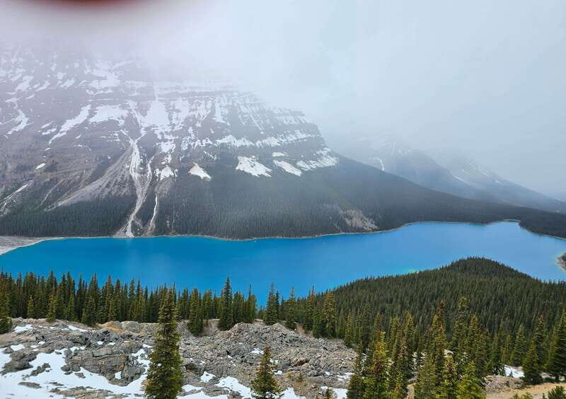 Canmore/Banff: Columbia Icefield, Skywalk, Peyto Day Tour - Who Will Love This Tour?