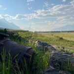 Canmore Electric Scooter Tours - Why This Tour is Worth Considering