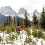 Canmore Explore Winter Wildlife Tracks 2hr Nature Walk - The Value of a Guided Wildlife Walk in Winter