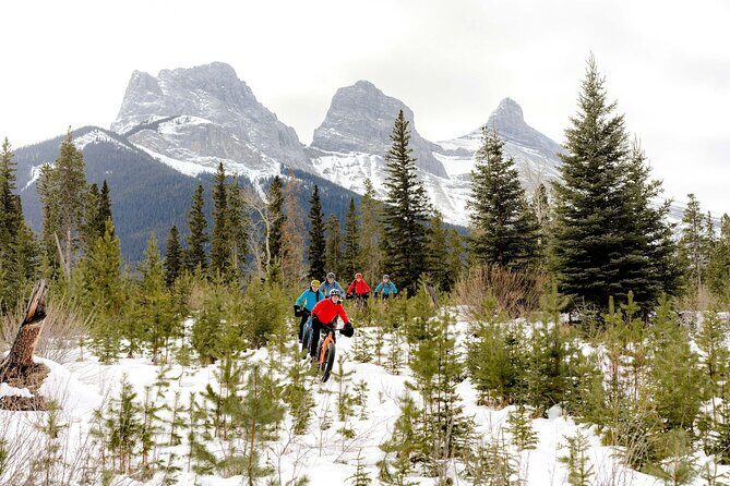 Canmore Explore Winter Wildlife Tracks 2hr Nature Walk - The Value of a Guided Wildlife Walk in Winter