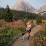 Canmore: Medicinal and Edible Plants, 2-hour Nature Walk - Why This Tour Is Perfect for Certain Travelers