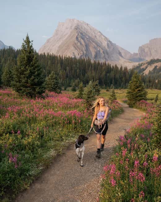 Canmore: Medicinal and Edible Plants, 2-hour Nature Walk - Why This Tour Is Perfect for Certain Travelers