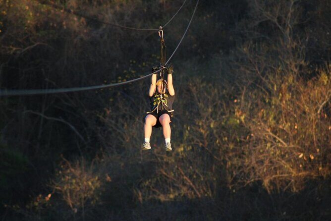 Canopy Zipline Tour in Punta Mita - What To Expect During the Tour