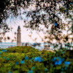 Caños de Meca: 9 days E-Foil Camp - What You Can Expect During the Camp