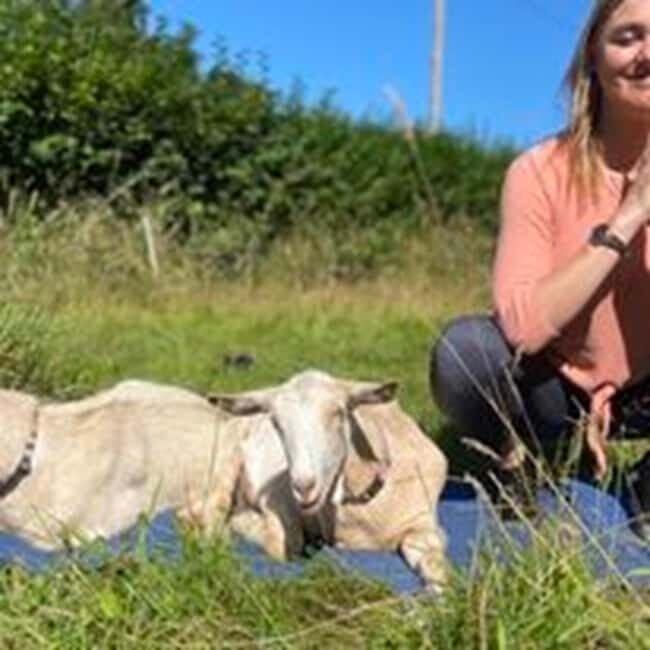 Canterbury: Yoga with Goats and Sheep - The Sum Up