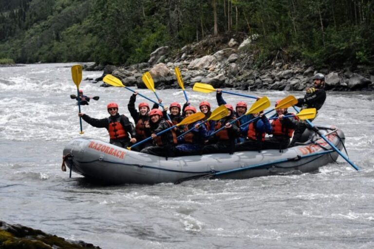 Canyon Run: Denali National Park Class IV Whitewater Rafting - Why This Tour Is Worth It