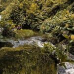 Canyoning Adventure in Ribeira da Salga (Sao Miguel - Azores) - Practical Considerations