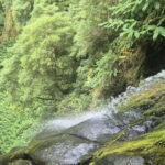 Canyoning Expedition: High Level Canyoning Tour - The Cost and Value