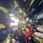 Canyoning in Anaga - Good To Know