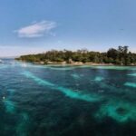 Cap d'Antibes: Kayaking adventure, picnic & aperitif, and snorkeling - An Introduction to the Cap dAntibes Kayaking Tour