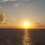 Cape Coral: Private Dolphin and Sunset Cruise - Final Thoughts