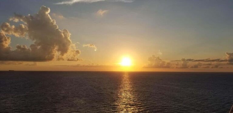 Cape Coral: Private Dolphin and Sunset Cruise - Final Thoughts