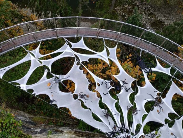 CAPILANO BR+GROUSE Mtn+STANLEY P+DAM+LAKE+HATCHERY/CAR/9in1 - The Itinerary Breakdown