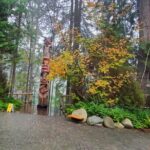Capilano Suspension Bridge, Lynn Canyon & Capilano Hatchery Tour - Lynn Canyon Park – A Hidden Gem