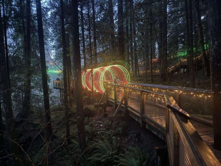 Capilano Suspension Bridge/Private/Small Group/By LUX CAR - The Capilano Suspension Bridge: A Thrilling Walk Above the Forest