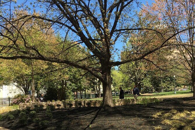 Capitol Steps and Stories Walking Tour - An In-Depth Look at the Richmond Walk