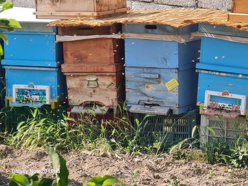 Cappadocia: Beekeeping Experience with Honey Tasting - Who Will Love This Tour?