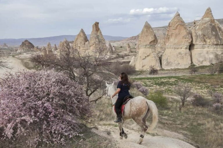 Cappadocia: Göreme Horse Riding, Fairy Chimneys w/Transfer - The Horses and Safety