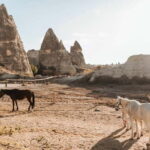 Cappadocia Horseback Riding : Unique Exploration Horse Tour - The Scenic Journey