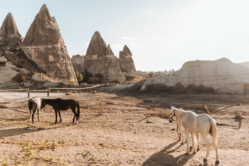 Cappadocia Horseback Riding : Unique Exploration Horse Tour - The Scenic Journey