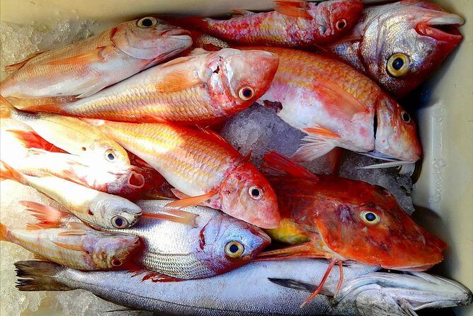 Capri Fishing Excursion with Snorkeling and Lunch from Sorrento - Authentic Experiences and Traveler Insights