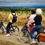 Carcassonne: Solex ride with guide and French-style brunch - Detailed Breakdown of the Itinerary