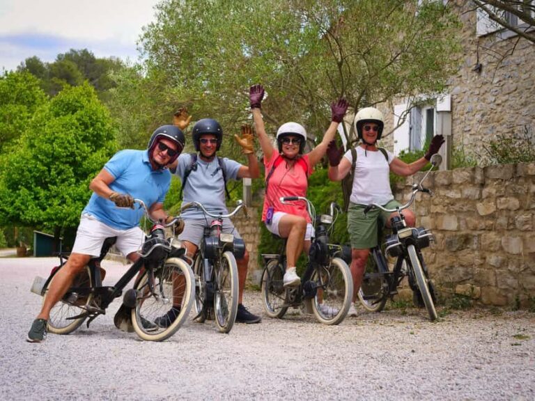 Carcassonne: Solex tour with guide and wine tasting - A Closer Look at the Carcassonne Solex Tour Experience