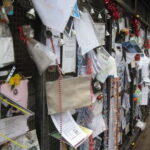 Cardiff: Doctor Who Car Tour - The Value of a Private Group & Expert Guides