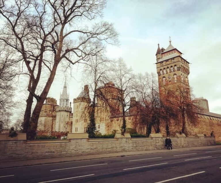 Cardiff: Private Half-Day City Center and Bay Walking Tour - Why This Tour Offers Great Value