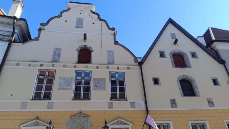 Carnivals, Punishments, Epidemics in Medieval Tallinn - What to Expect: The Experience in Practice