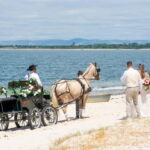 CARRIAGE Ride On The Beach (Rosário Beach) - The Experiences Highlights