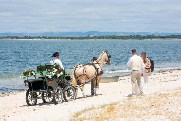 CARRIAGE Ride On The Beach (Rosário Beach) - The Experiences Highlights