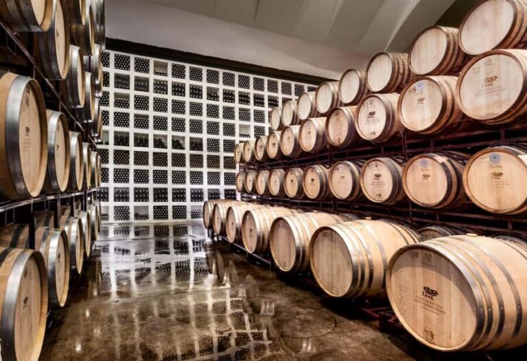 Casa Relvas, Évora - Visit to the Winery with Tasting of 3 wines and snacks - Final Thoughts