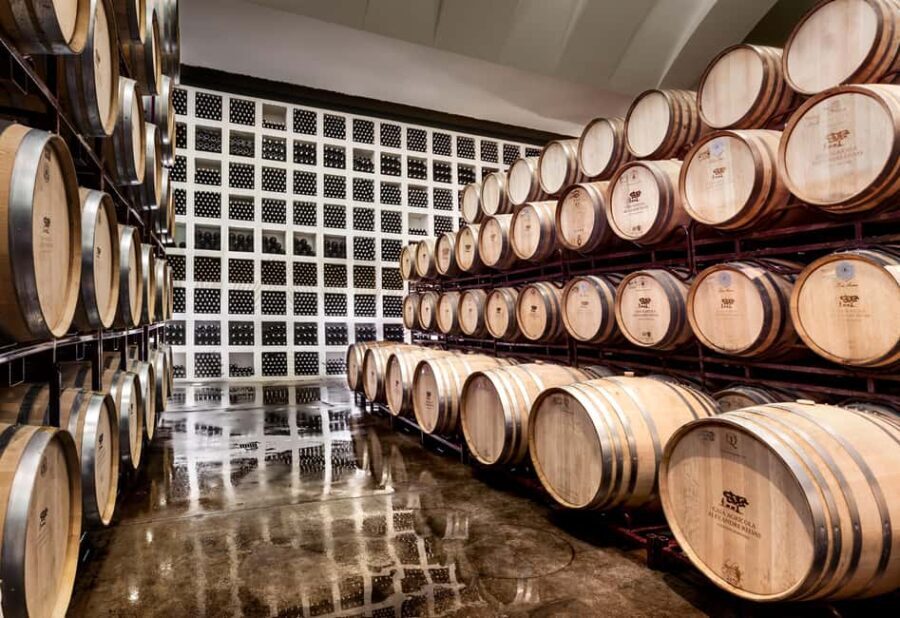 Casa Relvas, Évora - Visit to the Winery with Tasting of 3 wines and snacks - Final Thoughts