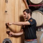 Casa Relvas, Évora - Visit to the Winery with Tasting of Portuguese Grape Varieties and Tapas - The Sum Up