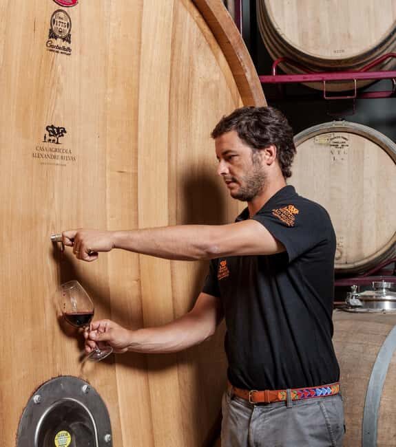 Casa Relvas, Évora - Visit to the Winery with Tasting of Portuguese Grape Varieties and Tapas - The Sum Up