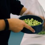 Casa Relvas, Vidigueira: Olive Harvest Campaign Program - FAQs