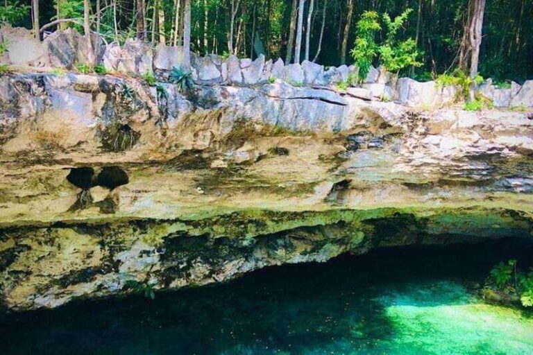 Casa Tortuga Park: Cenote Tour - Itinerary Breakdown