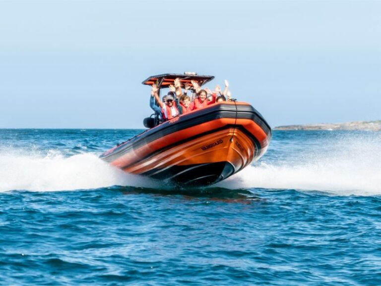 Cascais: Dolphin Watching Tour - The Dolphin Encounters: The Heart of the Tour